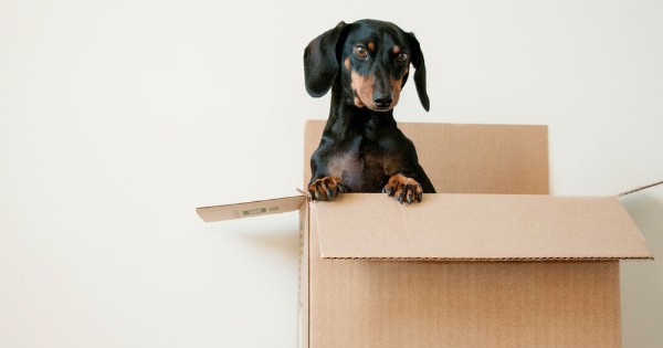 How to Make Money and Pack Efficiently When Moving