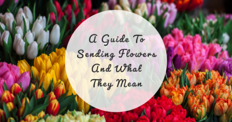 A Guide To Sending Flowers And What They Mean - Pretty Opinionated