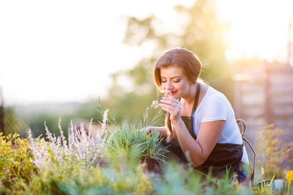 Trying to Make More Eco-Friendly Choices? These Tips Can Help