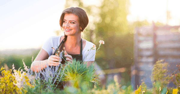 How to Make Your Home’s Landscaping Stand Out