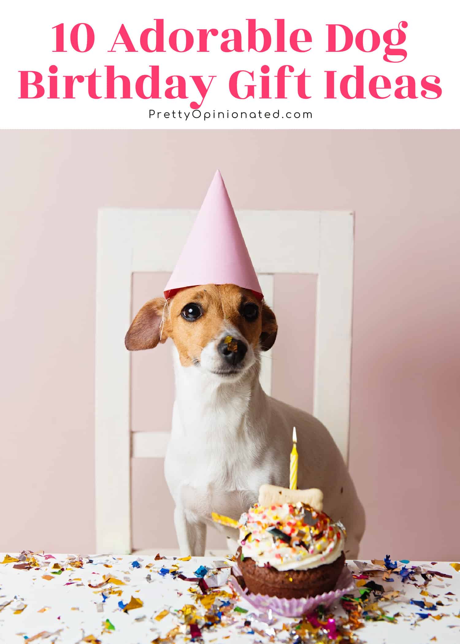 From adorable homemade cakes and "Barkcuterie" boards to toys that sing to boxes loaded with fun goodies, these are by far the cutest and best dog birthday gift ideas around. Check them out!