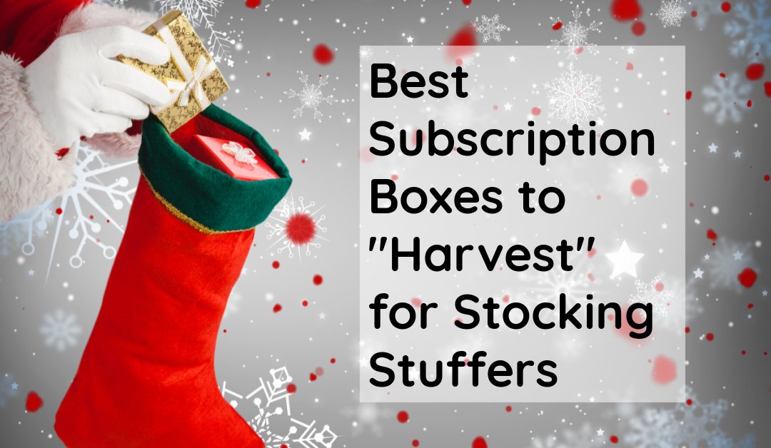 Top 16 Subscription Boxes to “Harvest” for Stocking Stuffers