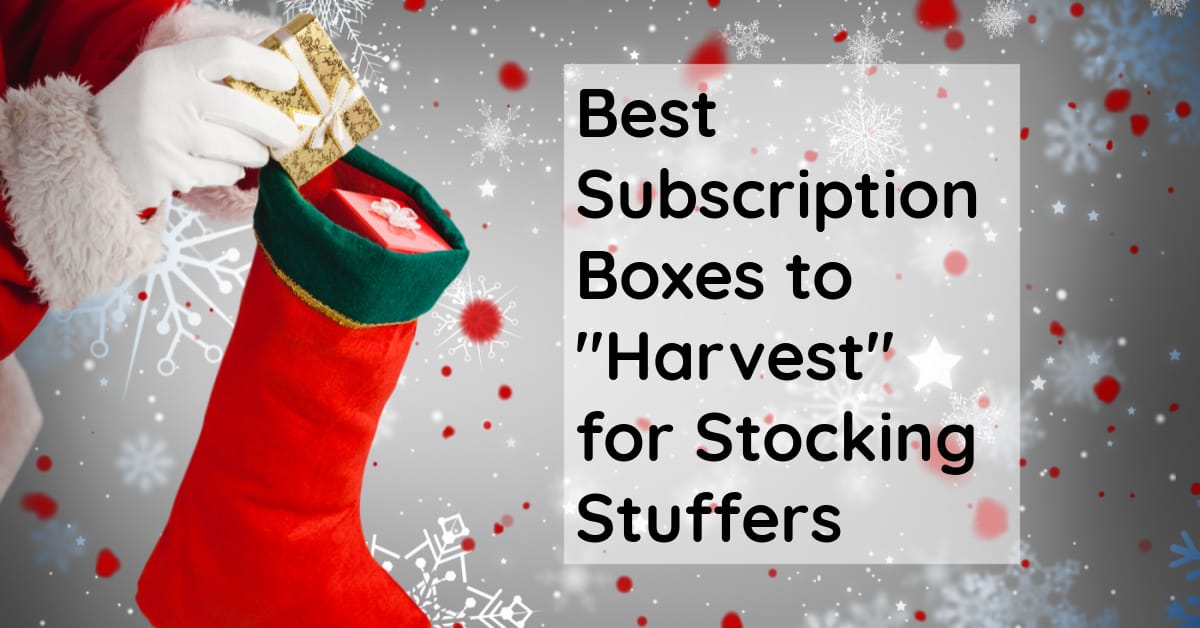 Top 16 Subscription Boxes to "Harvest" for Stocking Stuffers