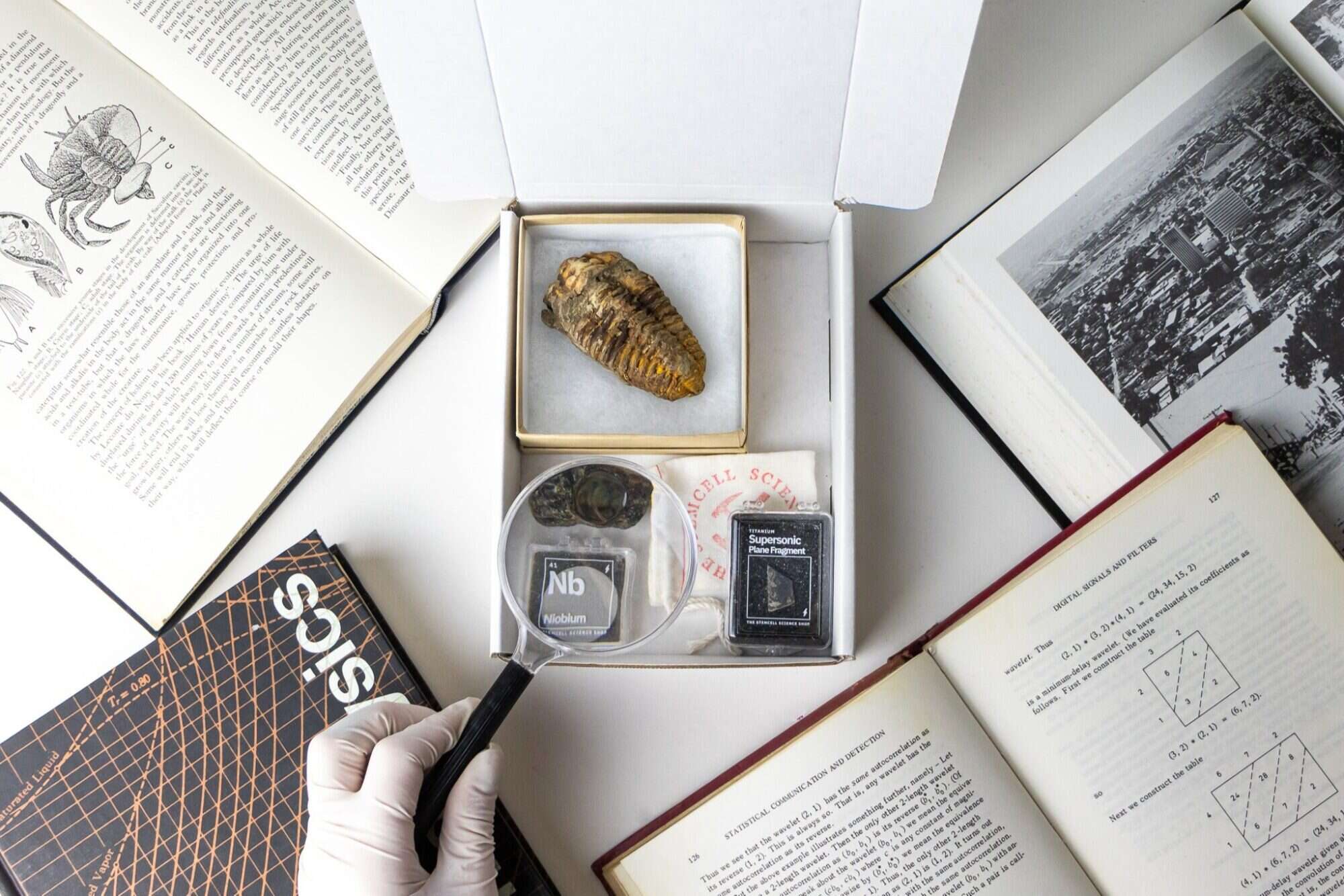 10 Weird Subscription Boxes for Wonderfully Quirky People 10 10 Weird Subscription Boxes for Wonderfully Quirky People