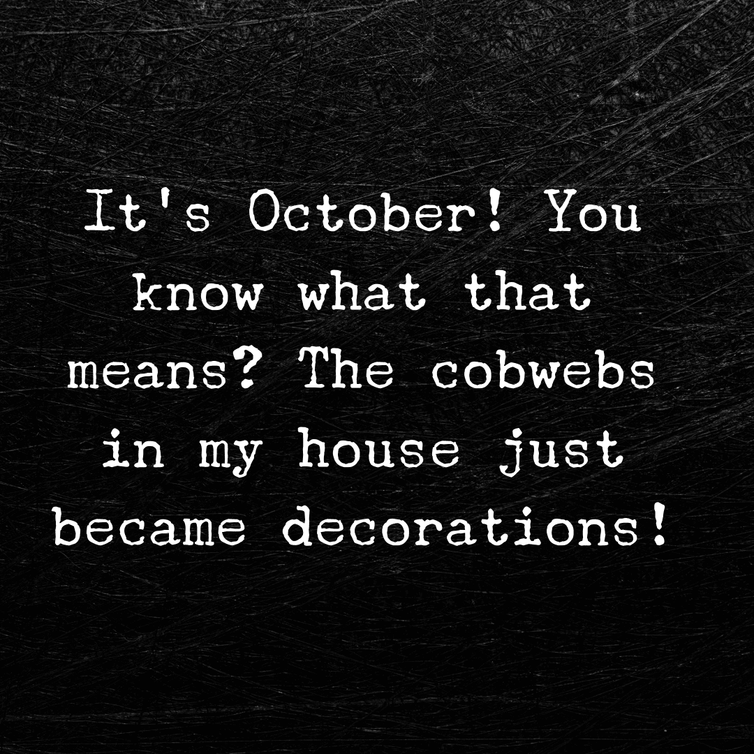 It's October! You know what that means? The cobwebs in my house just became decorations! - Funny Halloween Quotes I Love
