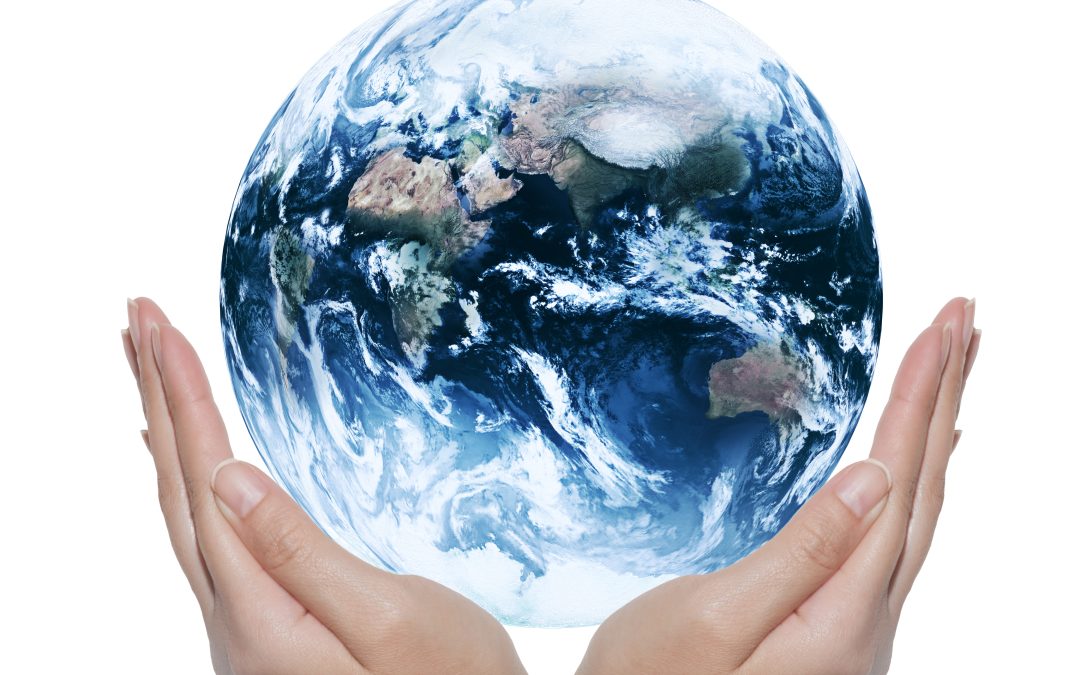 5 Eco-Friendly Home Upgrades to Consider