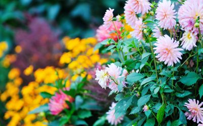 How to Incorporate Flowers Into Your Home Landscaping