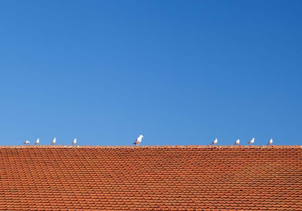 Tip Top Rood 6 Tips For Keeping Your Roof In Tip-Top Shape | Pretty Opinionated