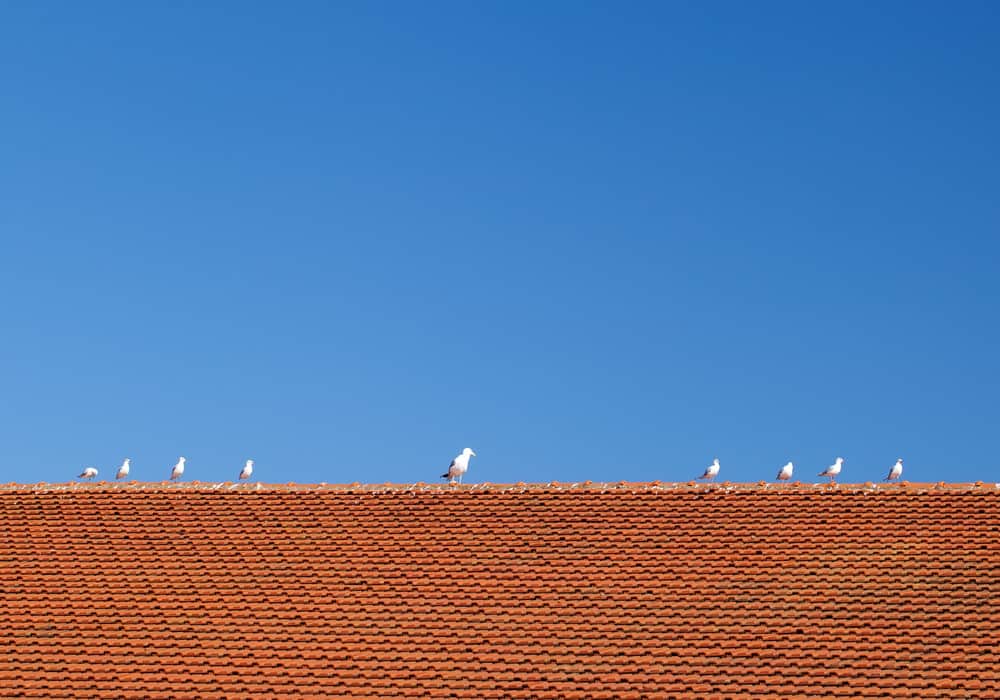 6 Tips for Keeping Your Roof in Tip-Top Shape