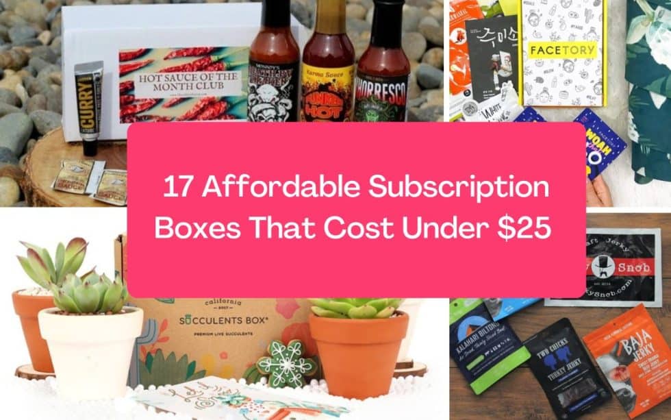 17 Affordable Subscription Boxes Under 25 (Holiday Gift Ideas)