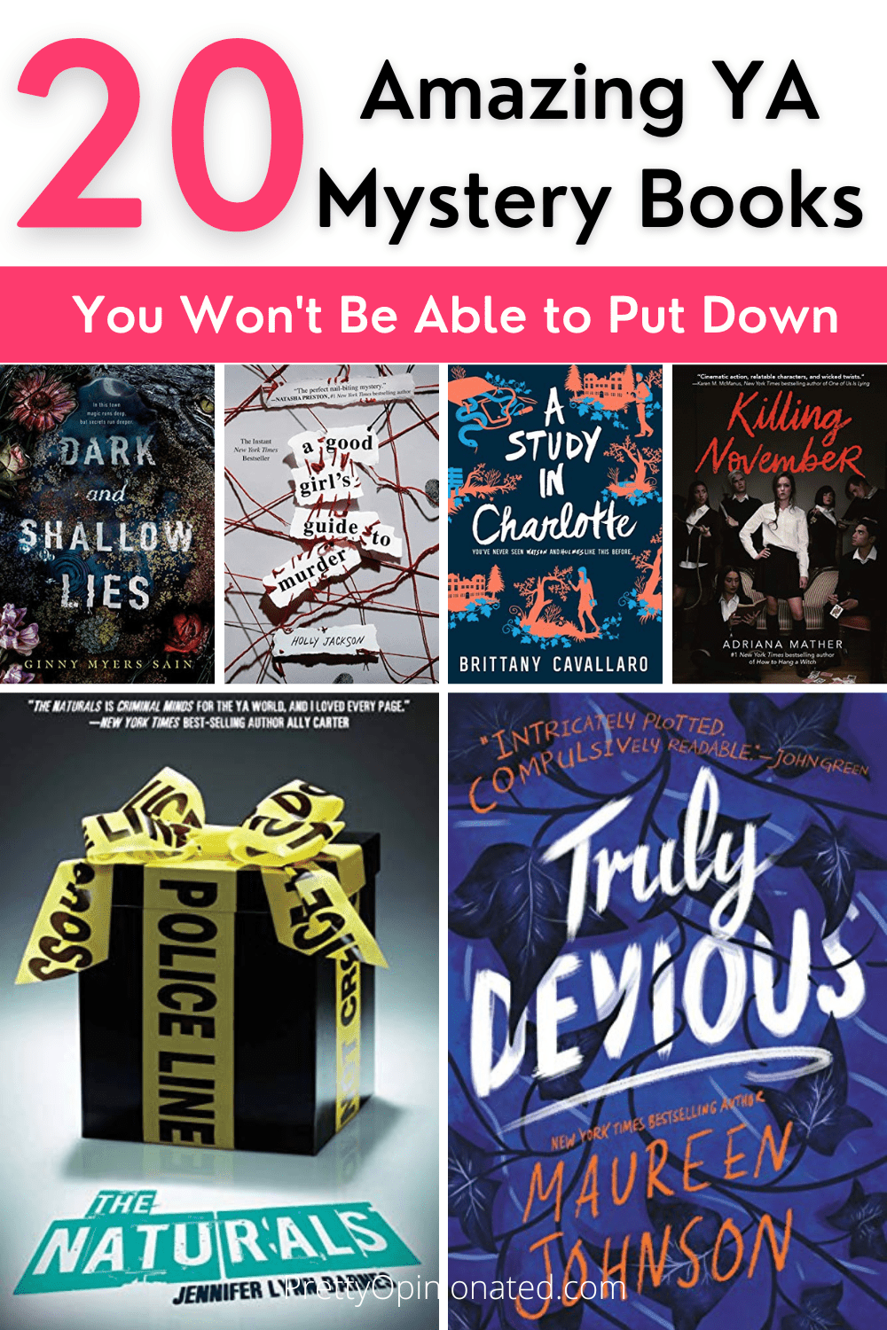 From charming detective tales to mind-bending suspense novels full of shocking twists & turns, here are 20 YA mystery books that you won't be able to put down. Enjoy!