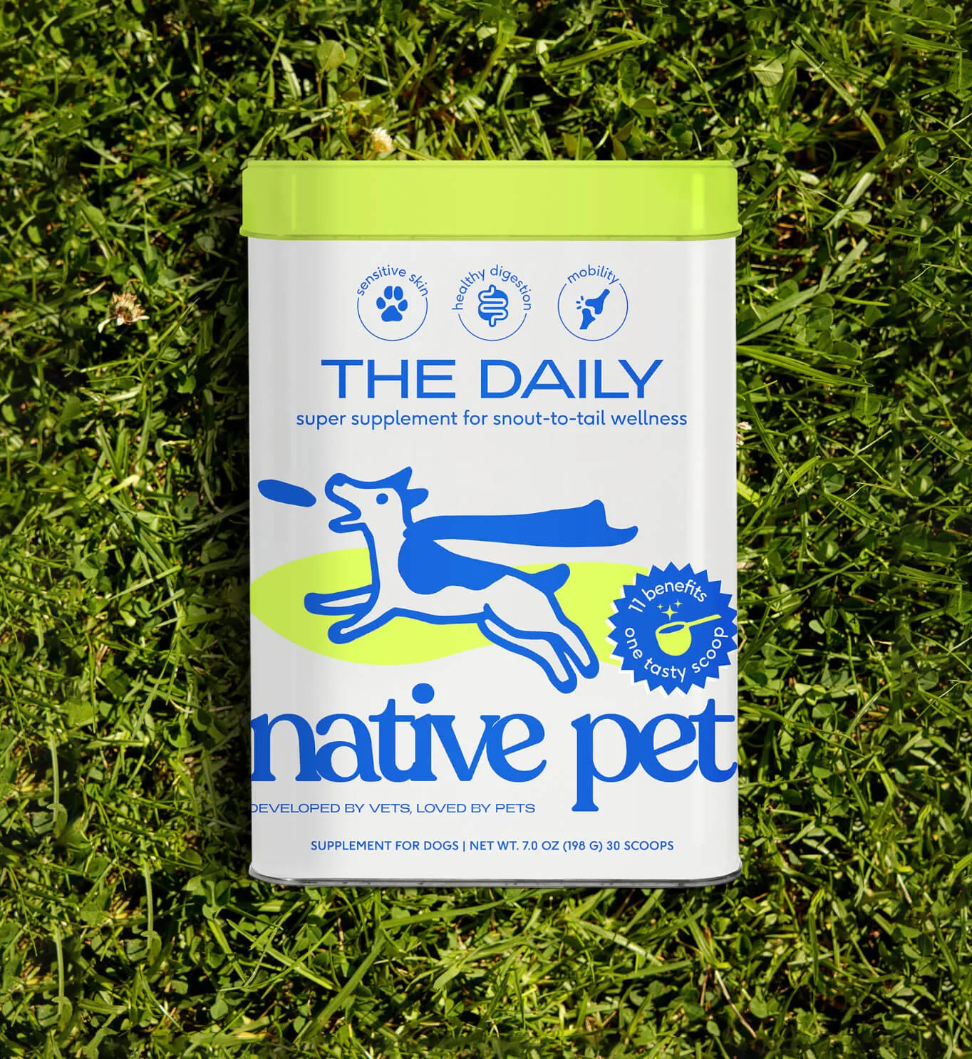 Native Pets the Daily