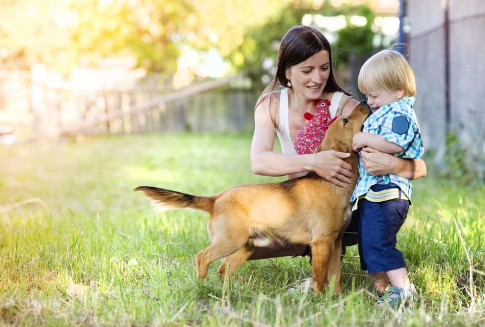 How Adoption Can Come In All Shapes And Sizes | Pretty Opinionated