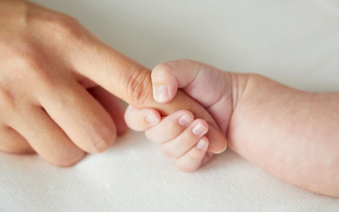 Key Services Offered Through Comprehensive Surrogate Care Programs