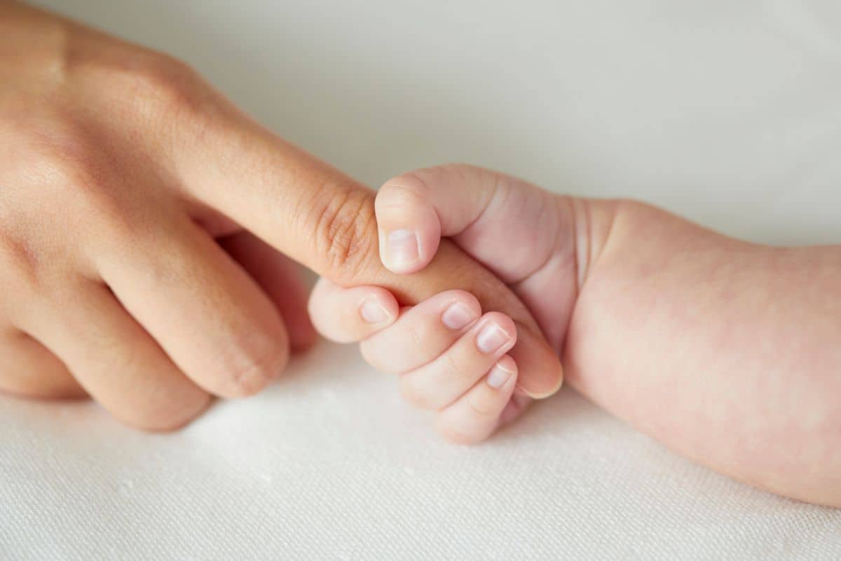 Key Services Offered Through Comprehensive Surrogate Care Programs