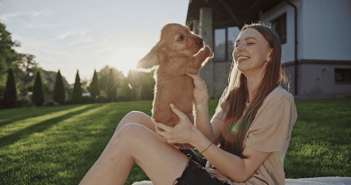 How to Transform Your Backyard Into a Luxury Retreat for Your Dogs
