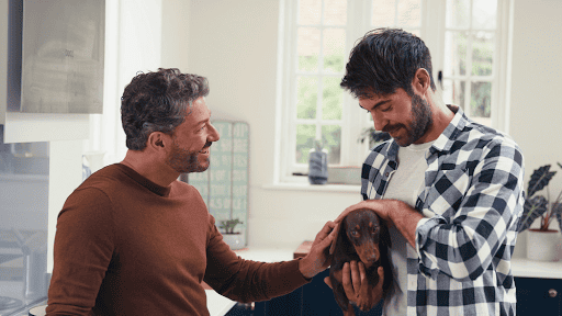 Pet-Friendly Remodeling: Flooring, Air Quality, and Durable Surfaces That Last