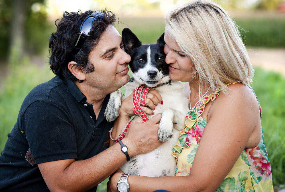 Invest in Your Pet Like Family